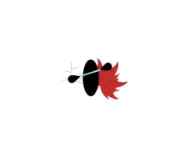 Multi Aventura Alcarria